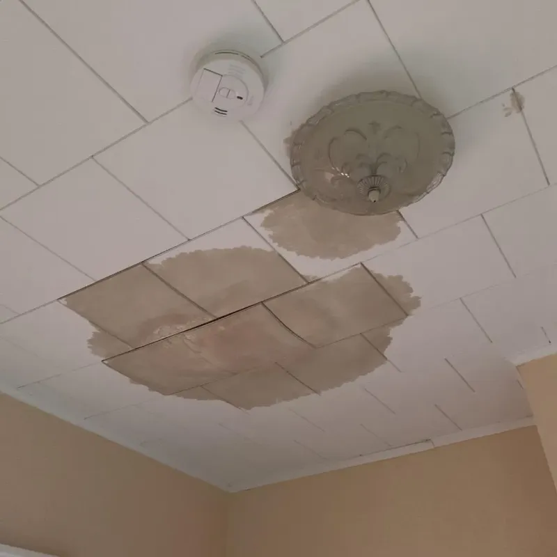 Ceiling Water Damage Repair in Palo Pinto County, TX