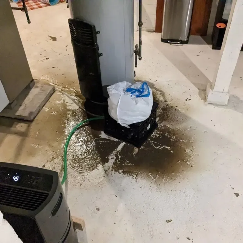 Sewage Backup Cleanup Service in Palo Pinto County, TX